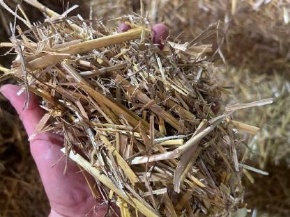 Bild 2:Stroh in Kleinballen