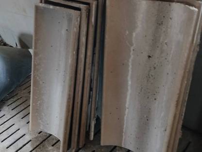 Bild 3:Schweinemast, Nirosteher, Kunststoffwände, Futtertröge