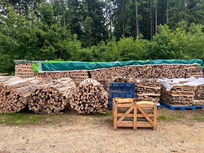 Bild 2:Brennholz Esche