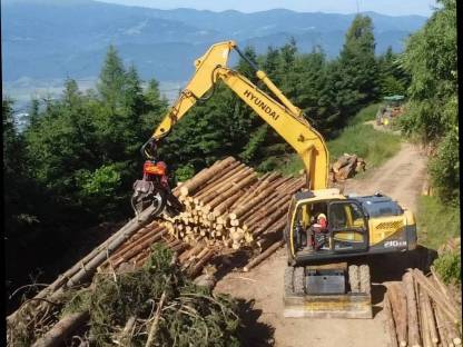 Baggerprozessor Hyundai 210W-9