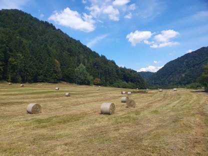 Bild 7:Bio-Pferdeheu