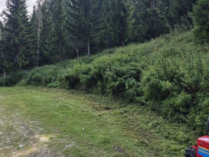 Bild 5:Mulcharbeiten Mulchraupe Mulcher