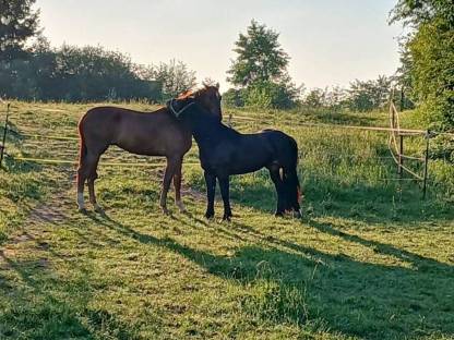 Bild 3:Box frei ab Oktober