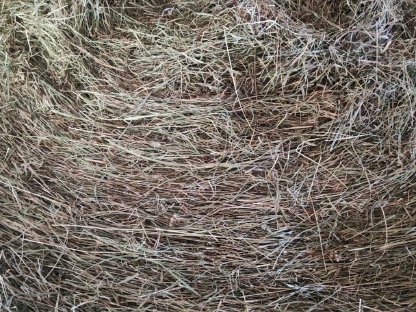 Bild 2:Heuballen Bergheu 130 cm Lavanttal