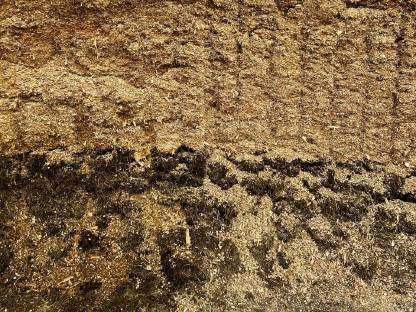 Bild 3:Silomais-Grasballen gemischt