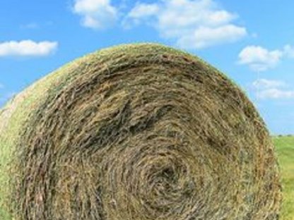 Heuballen Bio