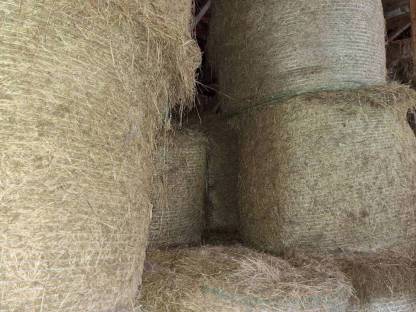 Bild 2:Heuballen aus 2020