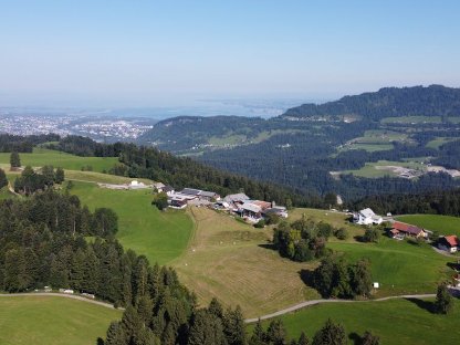 Bild 9:Landwirtschaftliche Liegenschaft in Bildstein