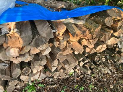 Bild 2:Brennholz Buche