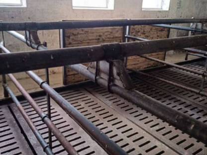 Bild 2:Aufstallung Rinder komplett