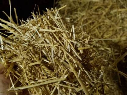 Bild 2:Stroh Kleinballen