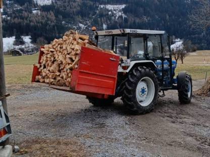 Bild 4:Brennholz, Feuerholz, Kaminholz, Scheitholz, Hartholz, Buche