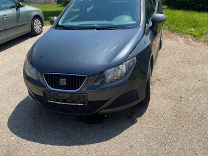 Seat Ibiza 6J