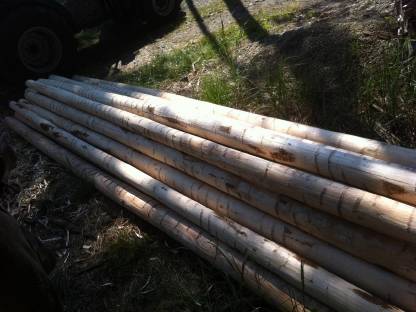 Bild 2:Rundholzpfähle Holz Zaun Rundlinge