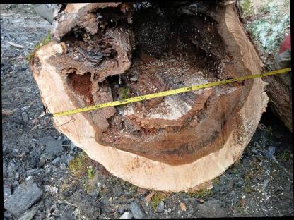 Bild 5:Ahornholz Epoxidharztische