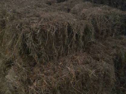 Bild 3:Kleine Heuballen
