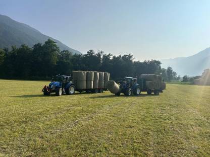 Bild 3:Heuballen 2025