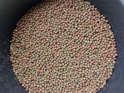 Bild 2:BIO Winterwicke und Wintererbse