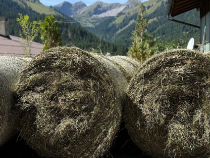 Heu und Silage Midi-Rundballen zu verkaufen