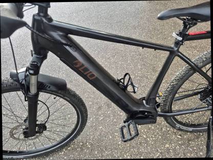 Bild 4:E-Mountainbike mit Bosch Motor