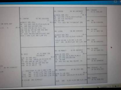 Bild 2:Trächtige Bio-Braunvieh-Kalbin