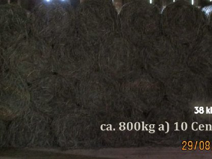 Bild 2:Von einer Feuchtwiese vom Berg, Ungeschnitten