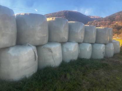 Bild 3:Grassiloballen