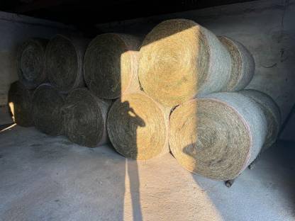 Bild 2:Heu Rundballen