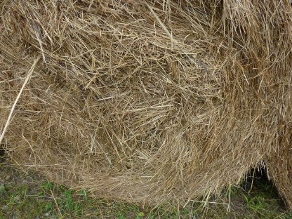 Bild 2:Grobes Ross-Heu, 1. Schnitt Juli/August