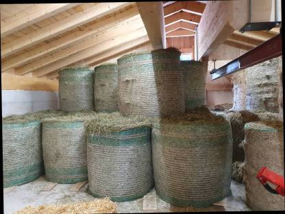 Bild 3:Heu, Stroh, Silage