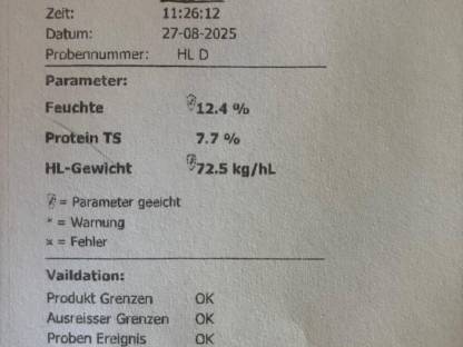 Bild 2:Dinkelkorn und Roggenkorn