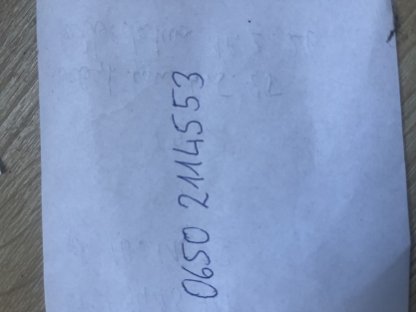 Bild 3:Hochträchtige Fleckviehkalbin