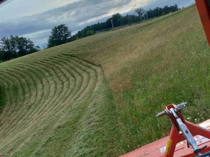 Bild 3:Heuballen BIO