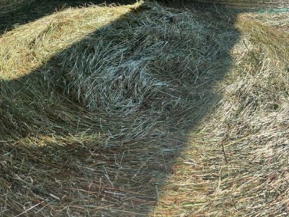 Bild 3:BIO HEU/Grummet Rundballen