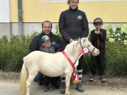 Bild 8:Minishetty Stute Elmhorst Bluebelle