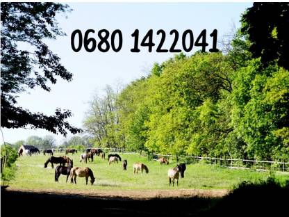 Bild 7:Einstellplätze im Weinviertel