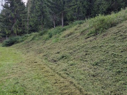 Bild 6:Mulcharbeiten Mulchraupe Mulcher