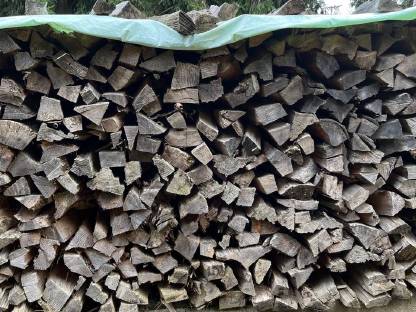 Bild 2:Fichtenbrennholz