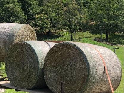 Bild 2:Heu Rundballen 1,30 Dm. 50 Stk. Bio Pferde Qualität