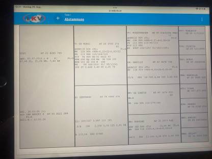 Bild 3:Trächtige Fleckviehkalbinnen