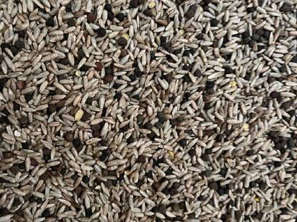 Bild 4:Bio Grünschnittroggen