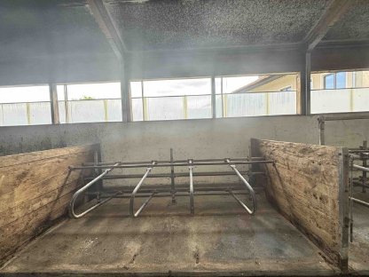 Bild 7:Hörmann Aufstallung Kalbinnen Aufzucht Kuh Rind Liegebuchten