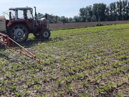 Bild 2:Feldspritze Holder IS 800, 15 m, vollhydr.