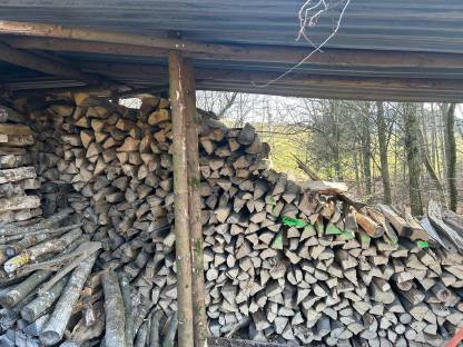 Brennholz Buche und Esche
