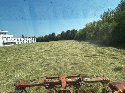 Bild 6:Heu 1. Schnitt