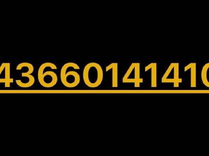 Bild 3:IBC Tank Dieseltank Heizöltank Öltank