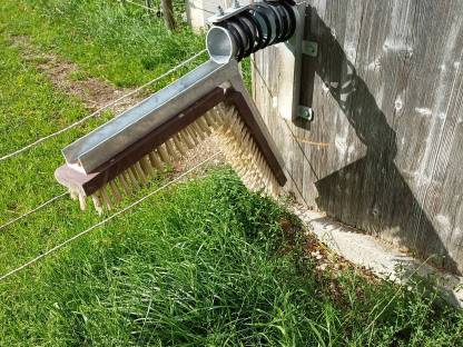 Bild 2:Kratzbürste für Schweine