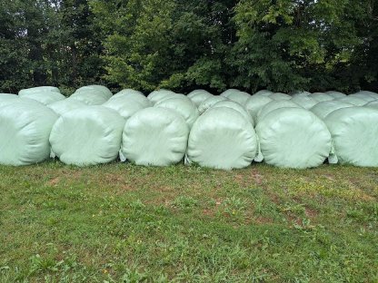 Bild 2:Siloballen - Ernte 2025