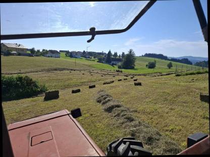 Heu in Kleinballen