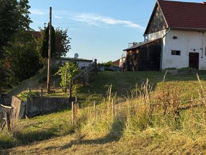 Bild 3:Weidefläche in Wolfau